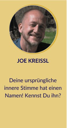 Tag 4 Joe Kreissl